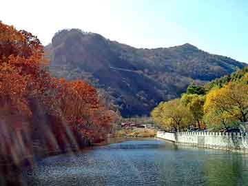 澳门天天彩期期精准平肖，丰田霸道论坛